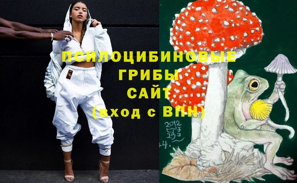 синтетический гашиш Богородск