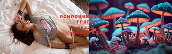синтетический гашиш Богородск