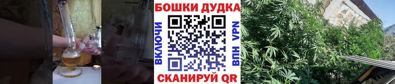 Каннабис OG Kush  Демидов 